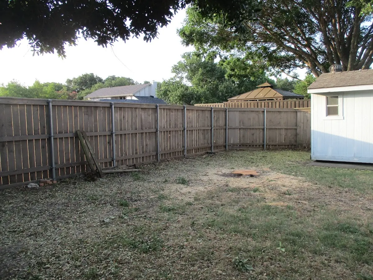 Cleared yard after professional tree removal in Lake Norden
