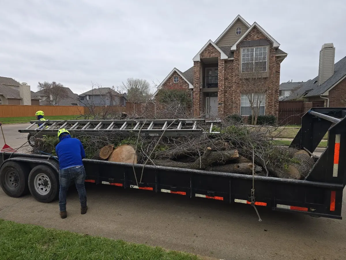 Expert Tree Fertilization with proper safety equipment in Lake Norden